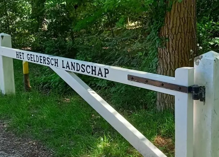 Boshof 5 In Bosrijke, Rustige Omgeving! Ferienhaus *