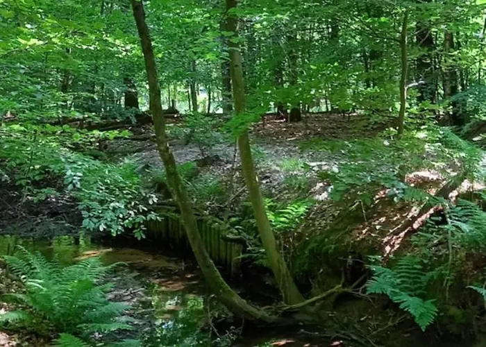 Ferienhaus Boshof 5 In Bosrijke, Rustige Omgeving! Ermelo