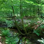 펜션 Boshof 5 In Bosrijke, Rustige Omgeving! 에르멜로