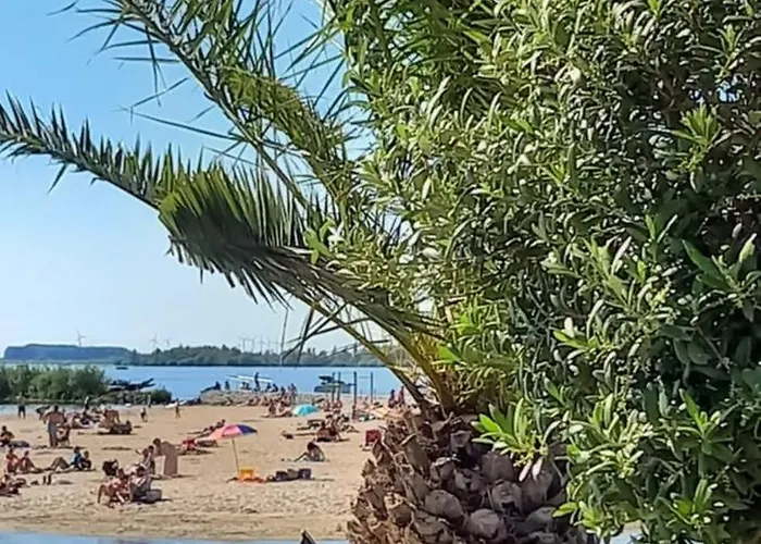 Boshof 5 In Bosrijke, Rustige Omgeving!