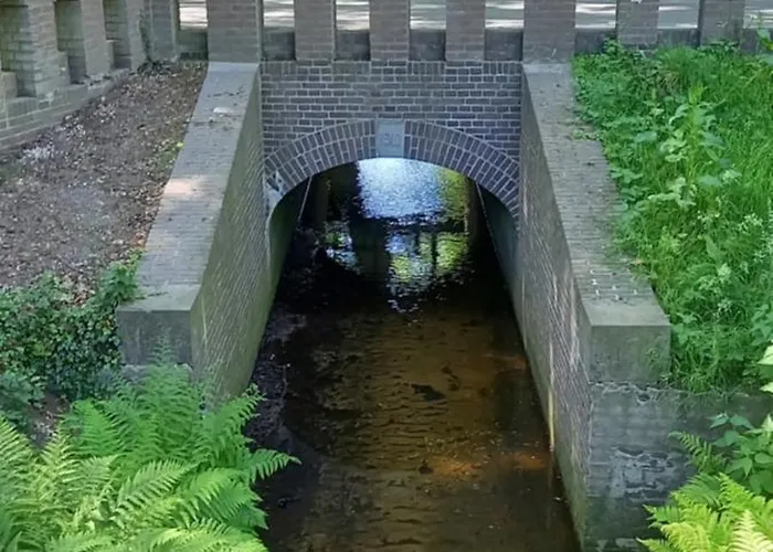 Boshof 5 In Bosrijke, Rustige Omgeving! Tatil Evi